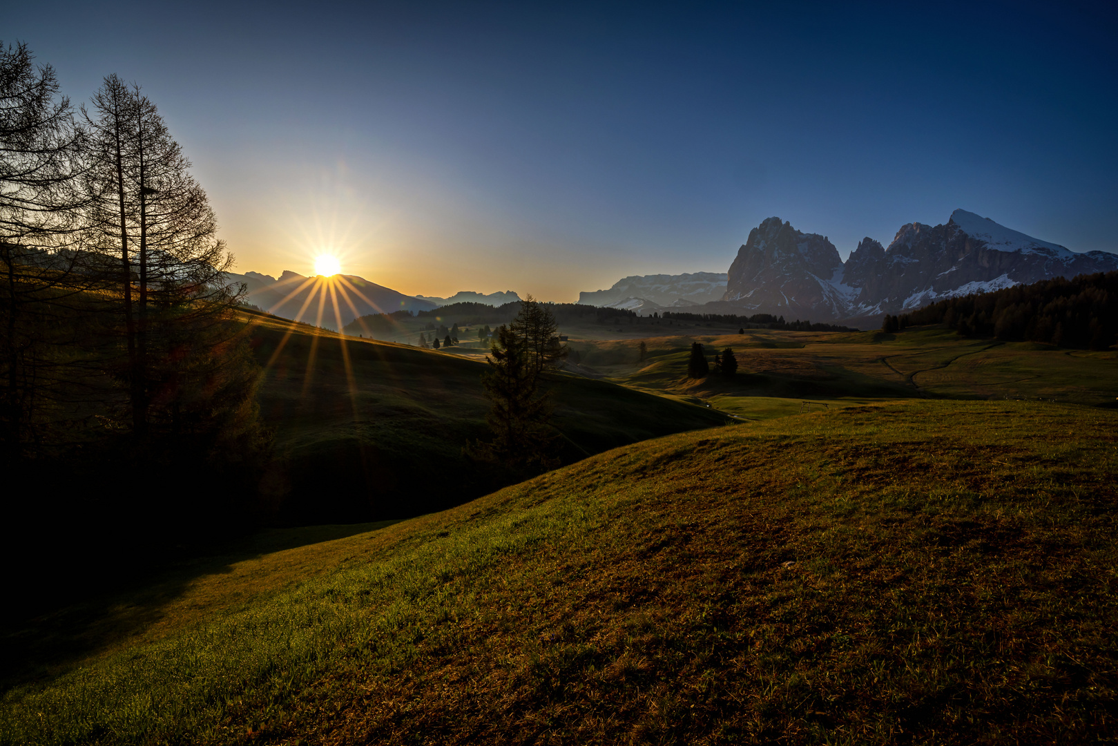 Morgens auf der Alm