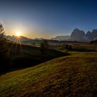 Morgens auf der Alm