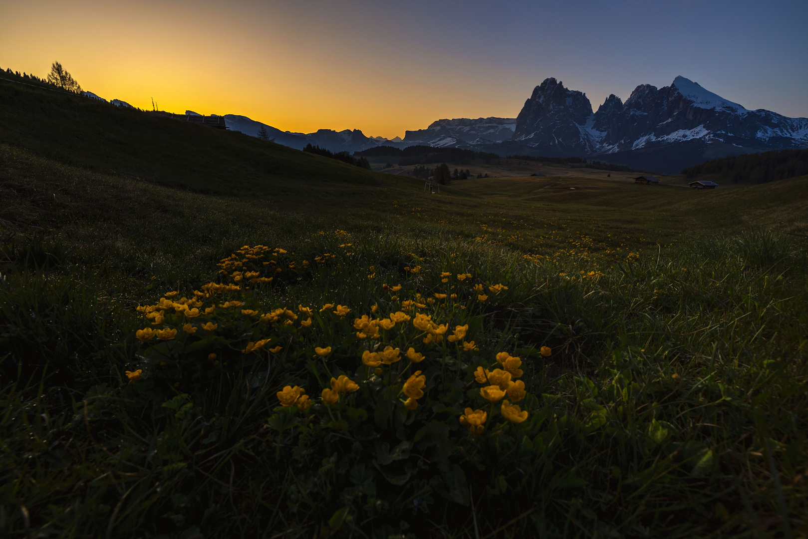 Morgens auf der Alm