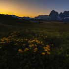 Morgens auf der Alm