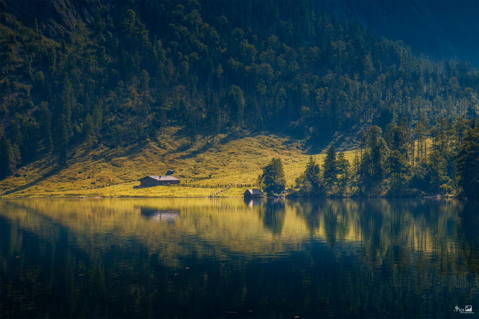 Morgens auf der Alm - Bayern529