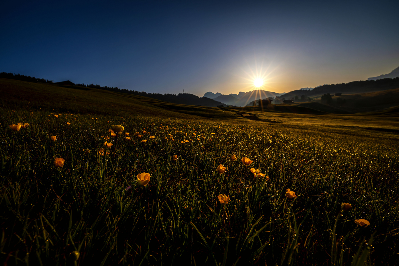 Morgens auf der Alm