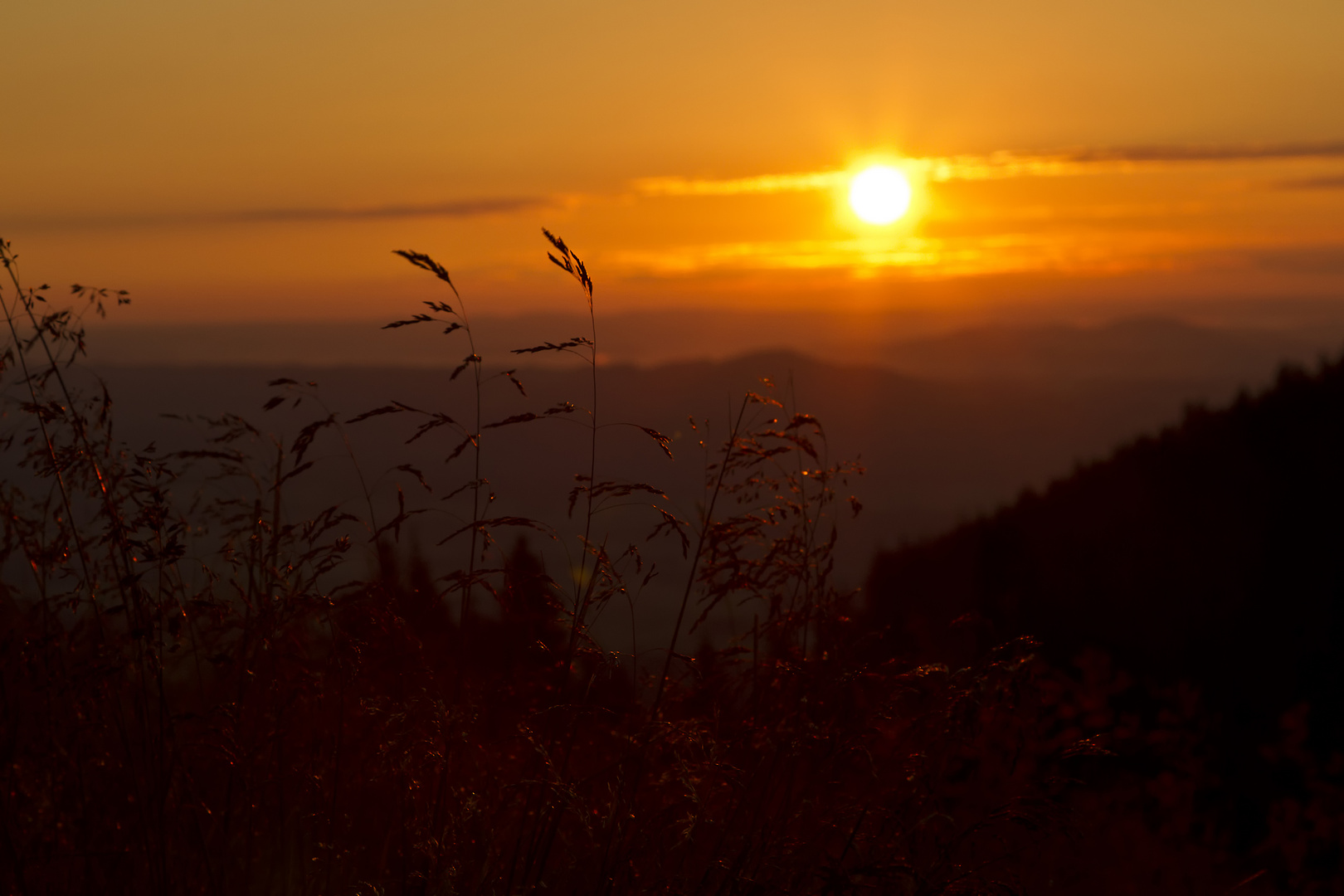 Morgens auf der Alm