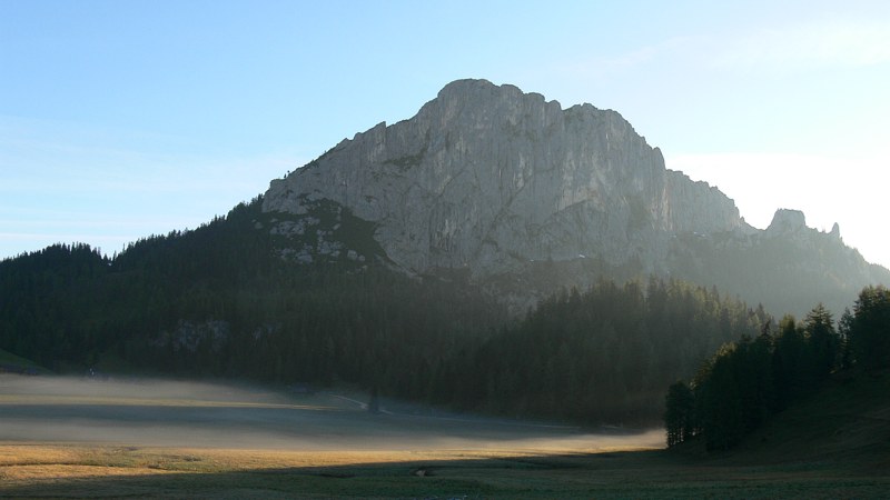 Morgens auf der Alm