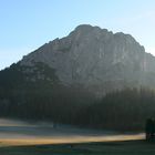 Morgens auf der Alm