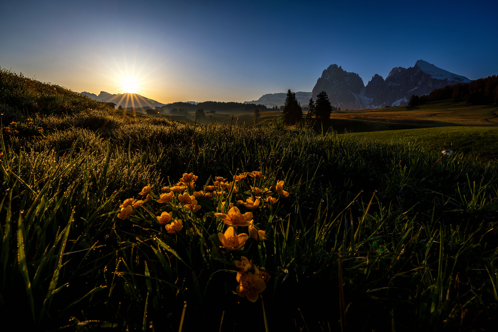 Morgens auf der Alm