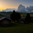 Morgens auf der Alm