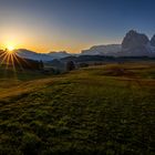 Morgens auf der Alm