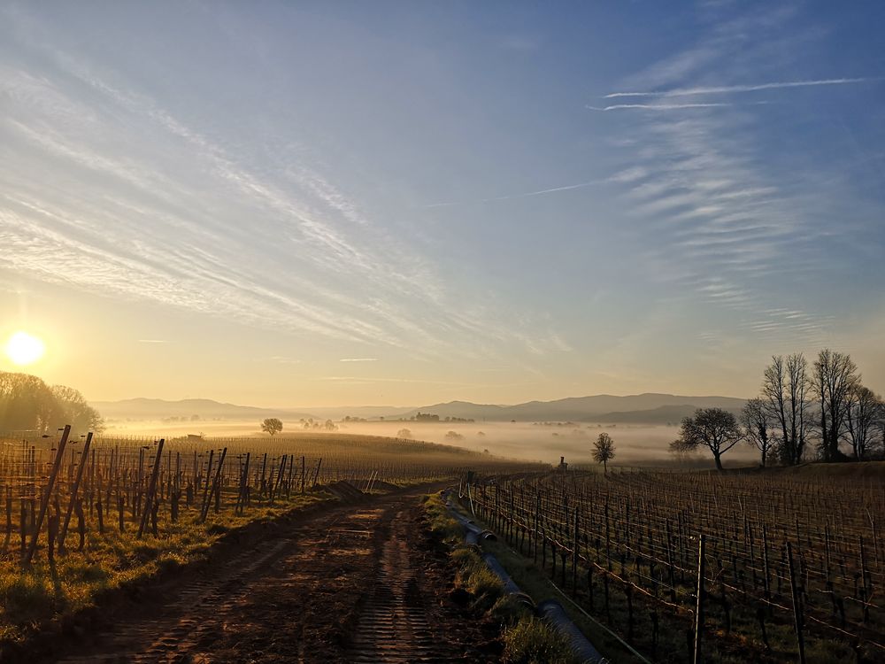 Morgens auf der Baustelle 