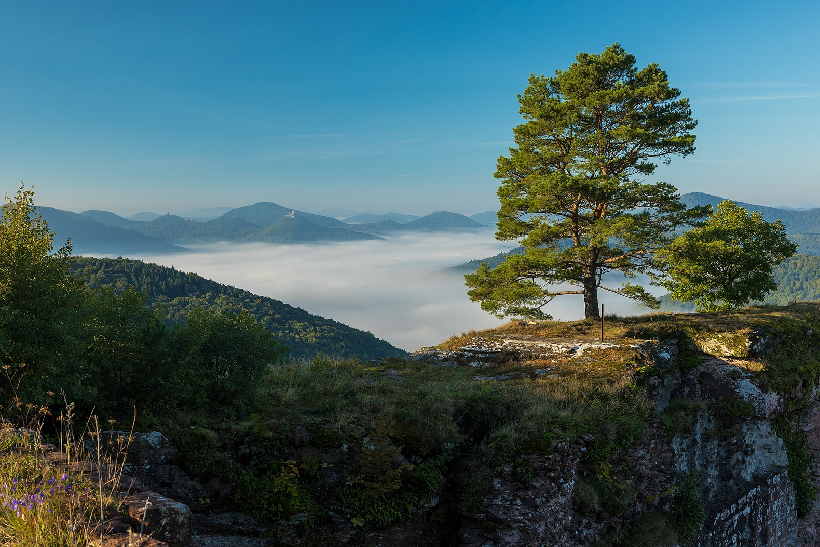 Morgens auf der Burg ....