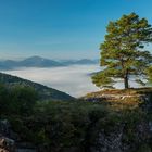 Morgens auf der Burg ....