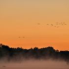 Morgens auf der Havel 1