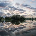 Morgens auf der Havel