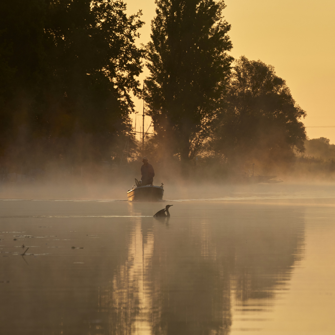 Morgens auf der Havel 3