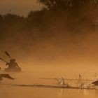 morgens auf der Havel