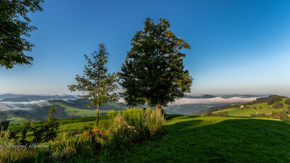 morgens auf der Höhenstrasse ...