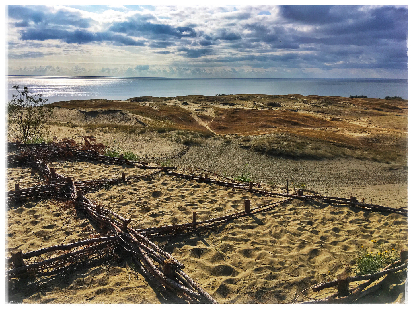 morgens auf der hohen Düne