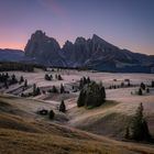 Morgens auf der Seiser Alm