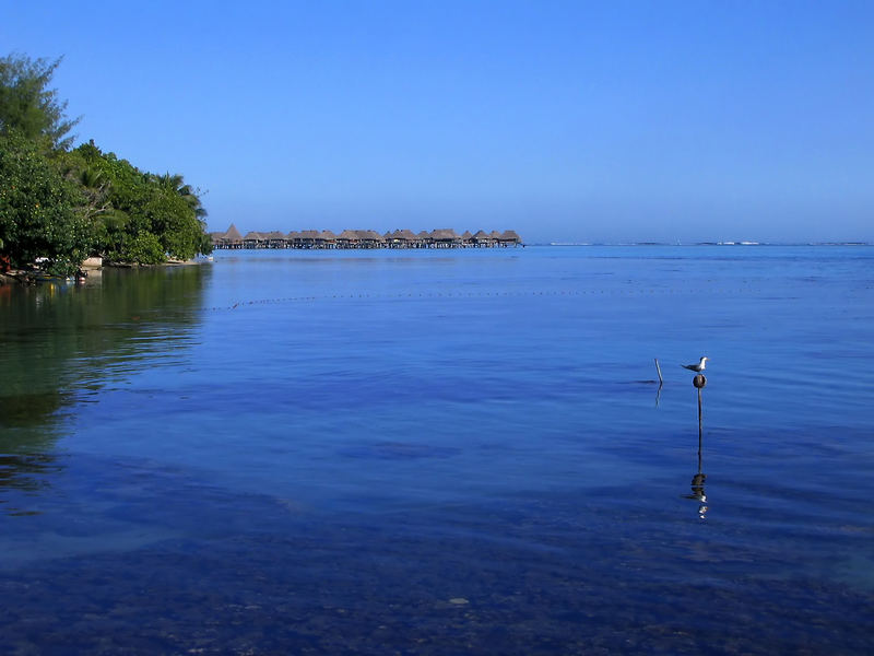 Morgen's auf der Südseeinsel Moorea