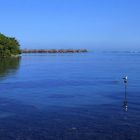 Morgen's auf der Südseeinsel Moorea