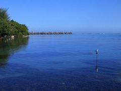 Morgen's auf der Südseeinsel Moorea