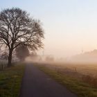 morgens auf Feld und Wiese