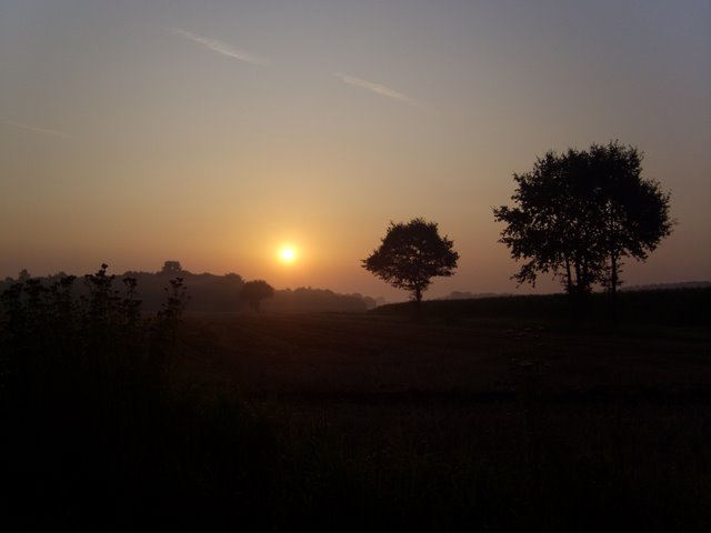 morgens auf meinem Weg zur Arbeit