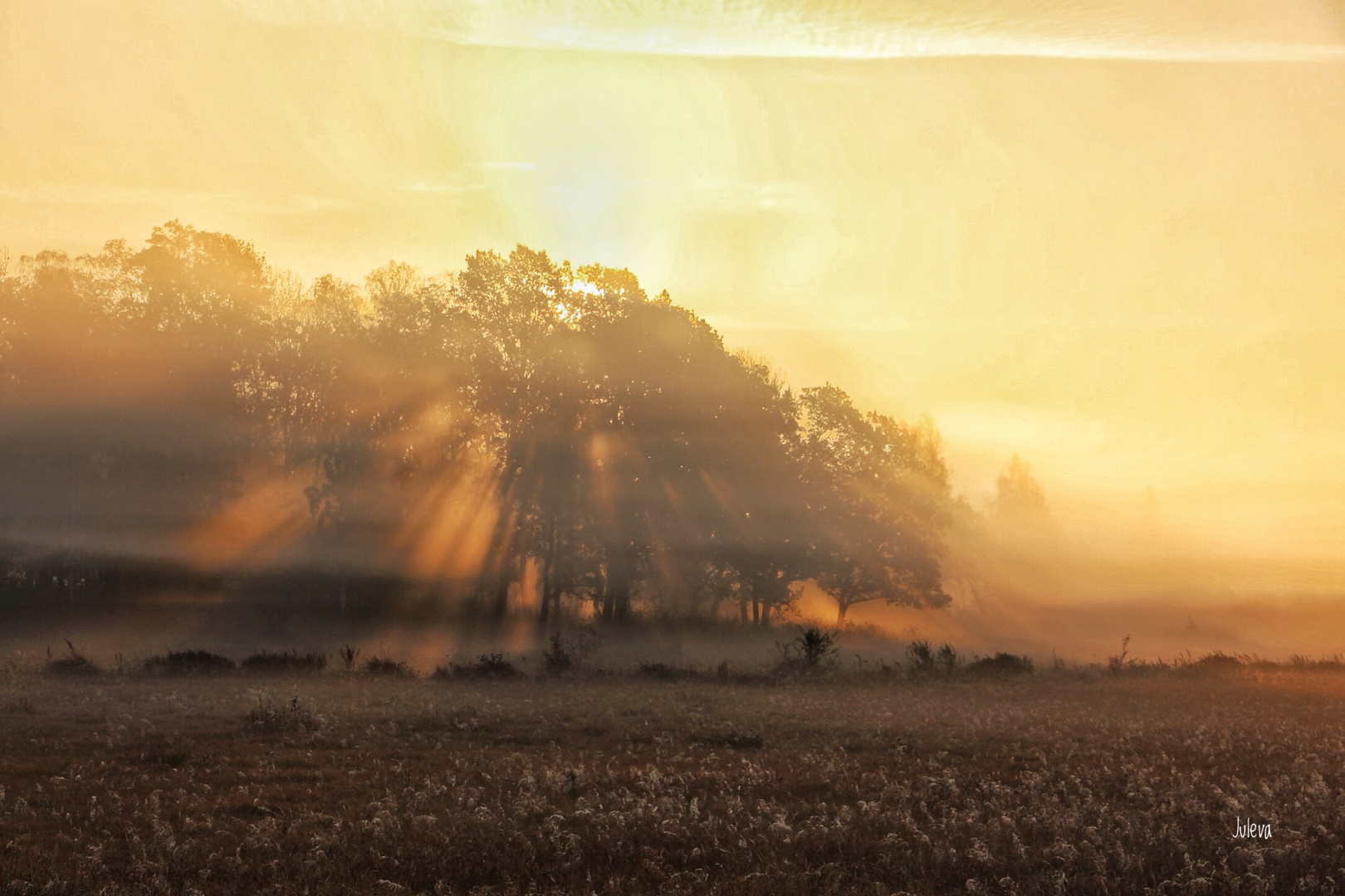 Morgens auf Öland