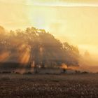 Morgens auf Öland