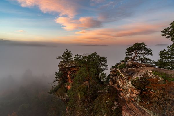 Morgens aufm Sprinzel