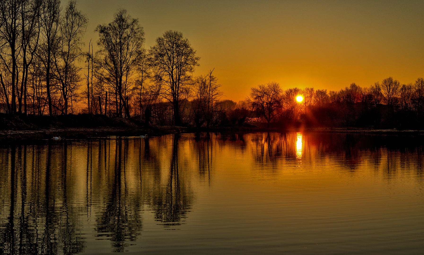 Morgens aum Fischteich 001