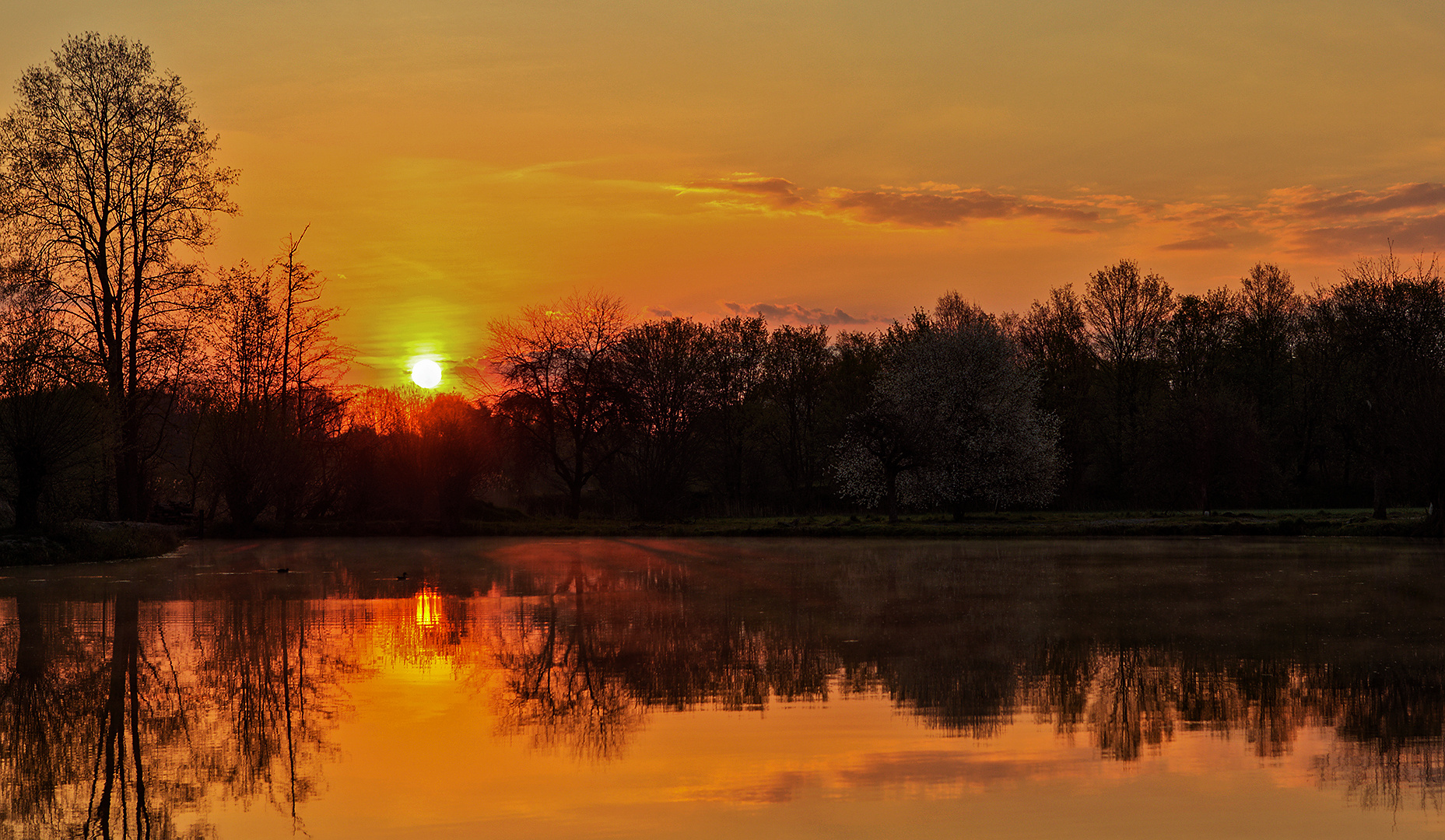 Morgens aum Fischteich 002 