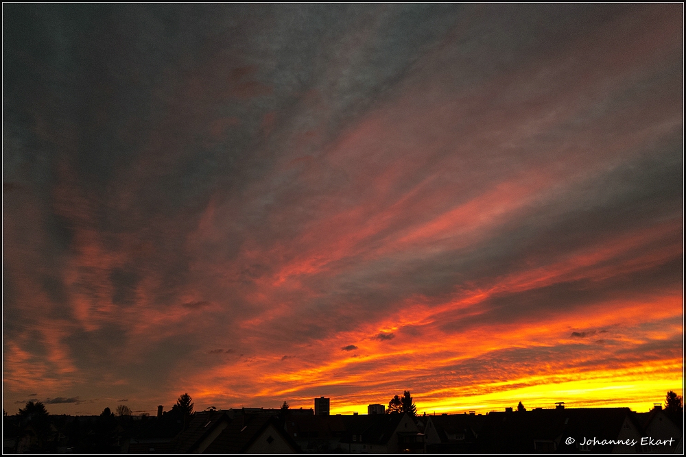 Morgens aus dem Bürofenster