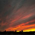 Morgens aus dem Bürofenster