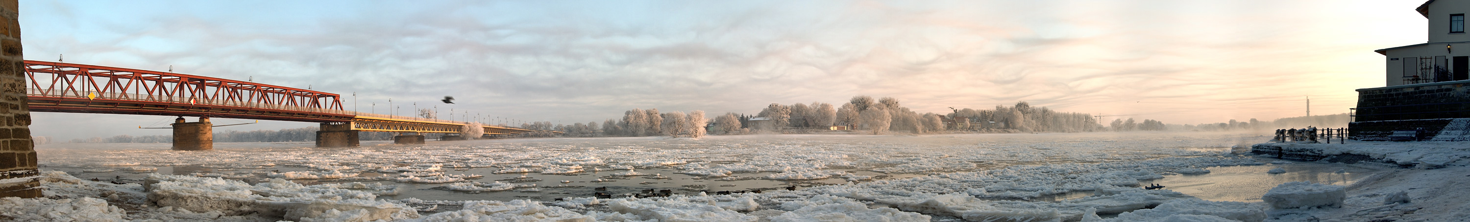 Morgens bei -16°C an der Elbe in Schönebeck