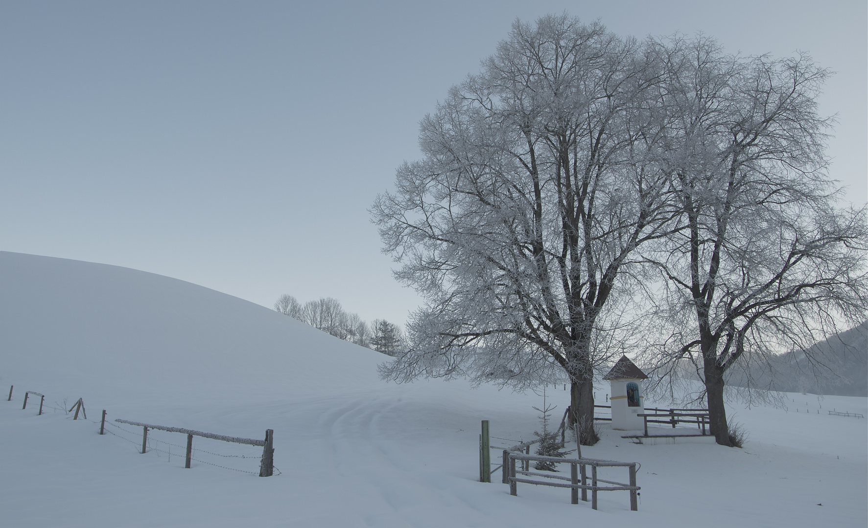 Morgens bei -17 Grad