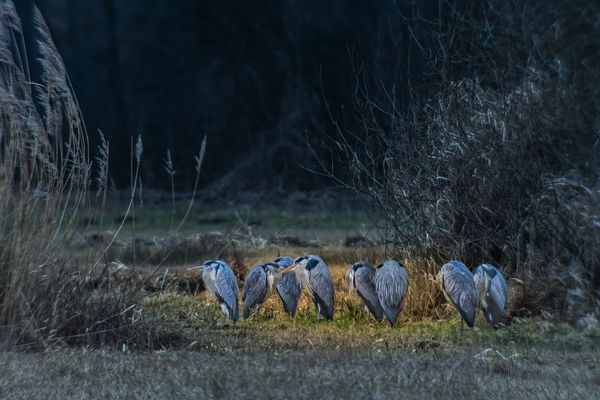 Morgens bei -4°C am Blankensee