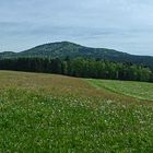 Morgens bei Böbrach (Bayr. Wald)