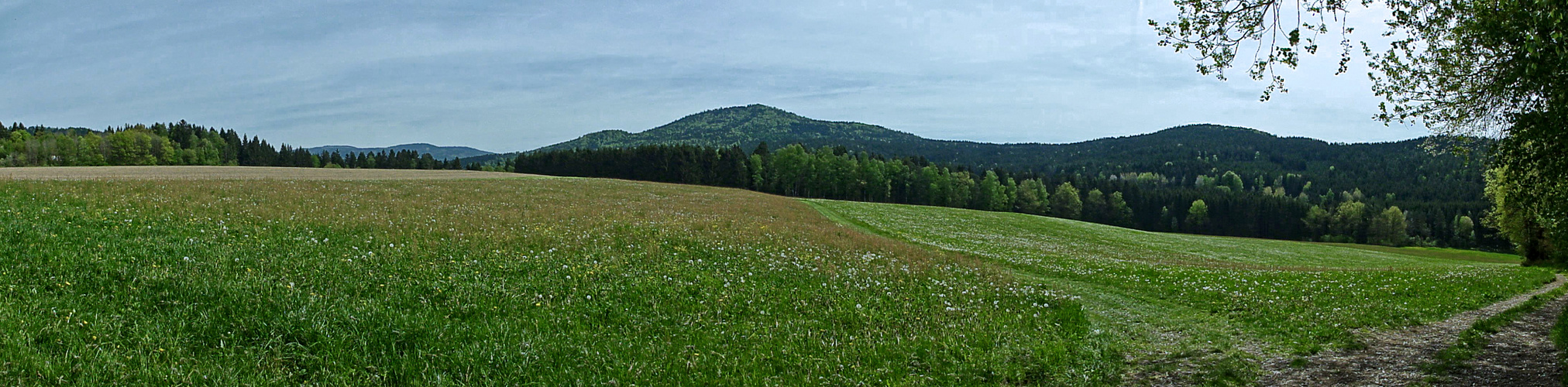 Morgens bei Böbrach (Bayr. Wald)