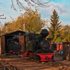 Morgens bei der Muskauer Waldbahn