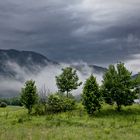 Morgens bei Finkenstein