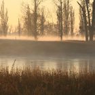 morgens bei mir an der Elbe