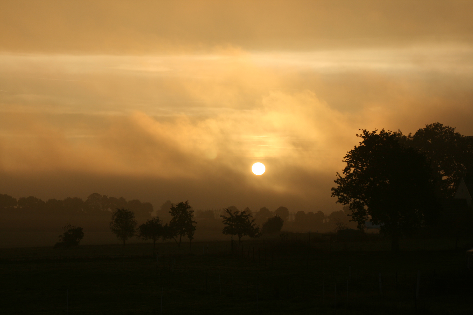 Morgens bei Nebel