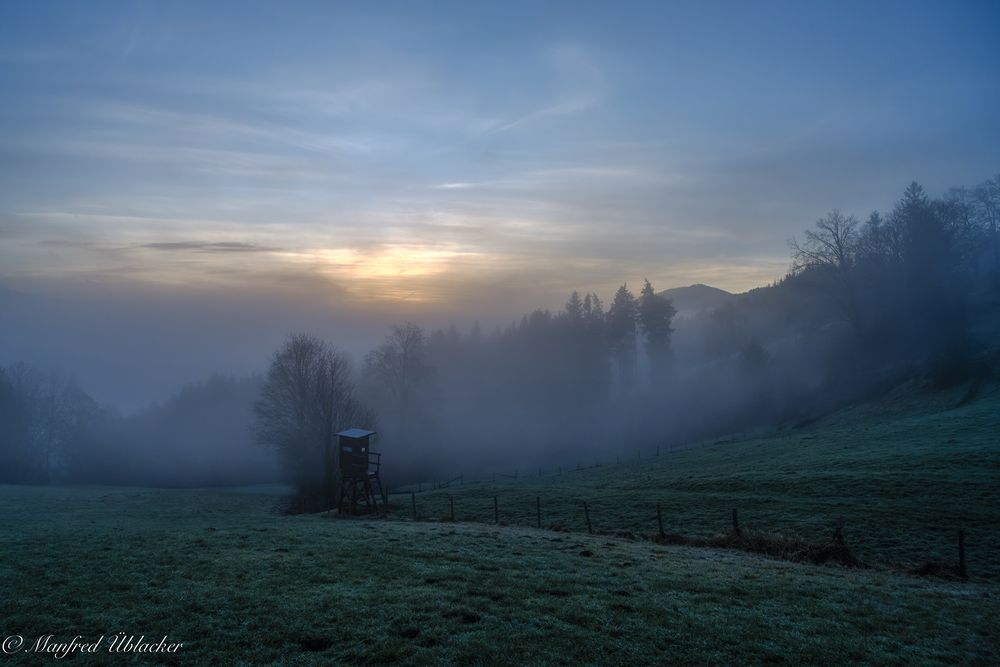 Morgens bei Nebel ...