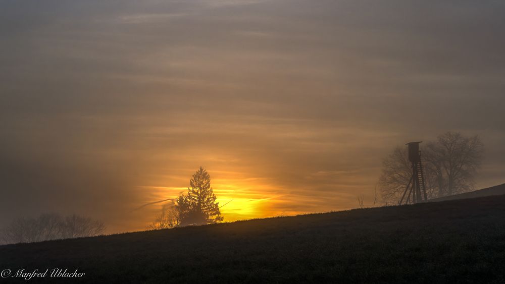 Morgens bei Nebel ...