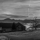 Morgens bei Nebel ...