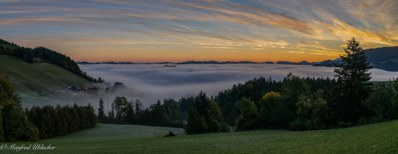 Morgens bei Nebel ...