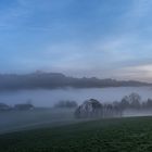 Morgens bei Nebel ...