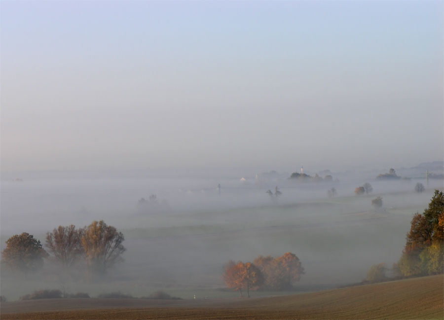 Morgens bei Palsweis