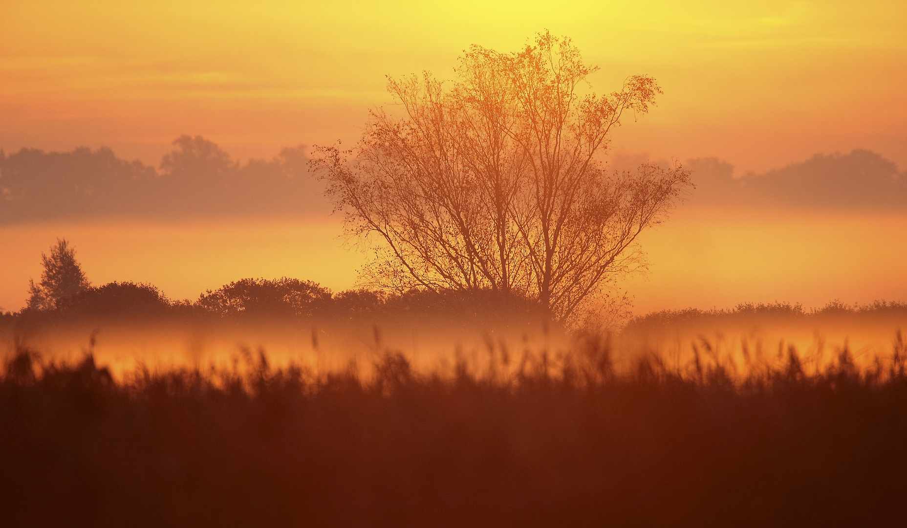 morgens bei Sonnenaufgang am Federsee